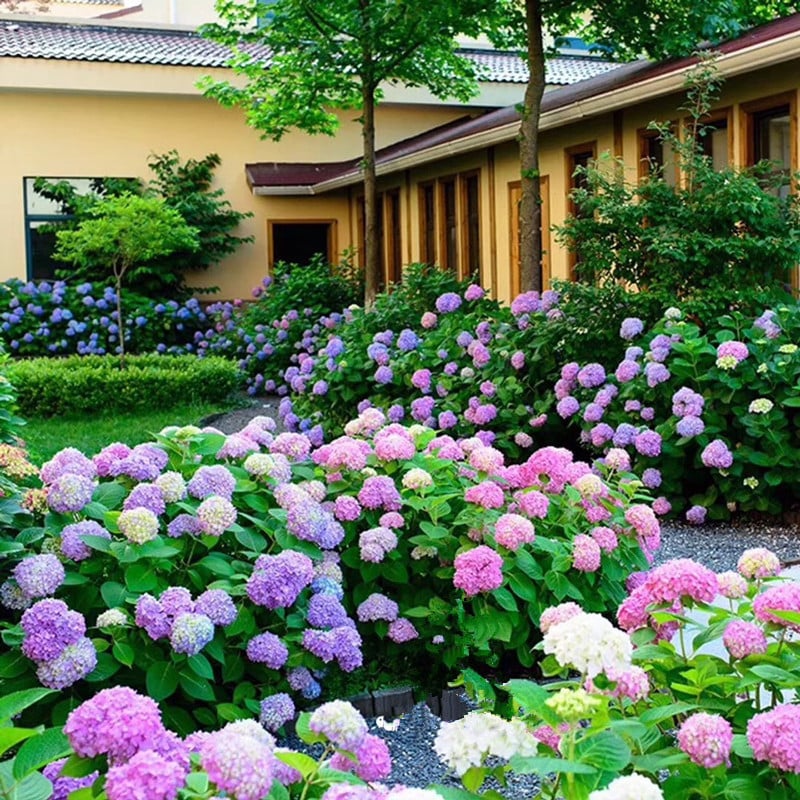 💐🎁Last Day 75% OFF - Outdoor Artificial Hydrangea Flowers