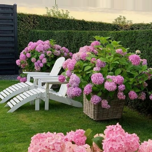 💐🎁Last Day 75% OFF - Outdoor Artificial Hydrangea Flowers