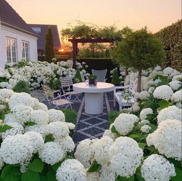 💐🎁Last Day 75% OFF - Outdoor Artificial Hydrangea Flowers
