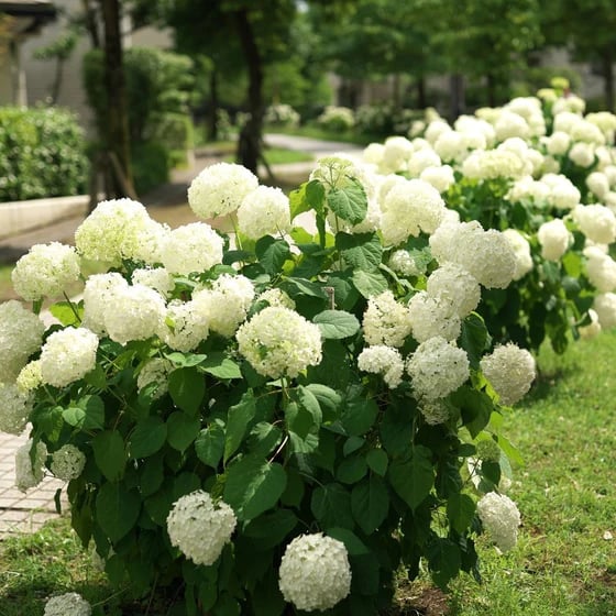 💐🎁Last Day 75% OFF - Outdoor Artificial Hydrangea Flowers