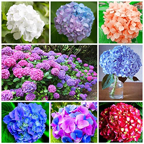 💐🎁Last Day 75% OFF - Outdoor Artificial Hydrangea Flowers