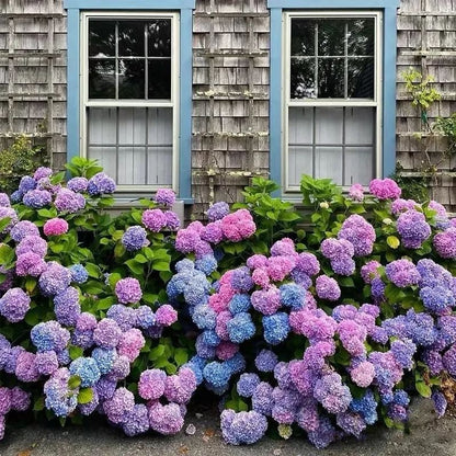 💐🎁Last Day 75% OFF - Outdoor Artificial Hydrangea Flowers